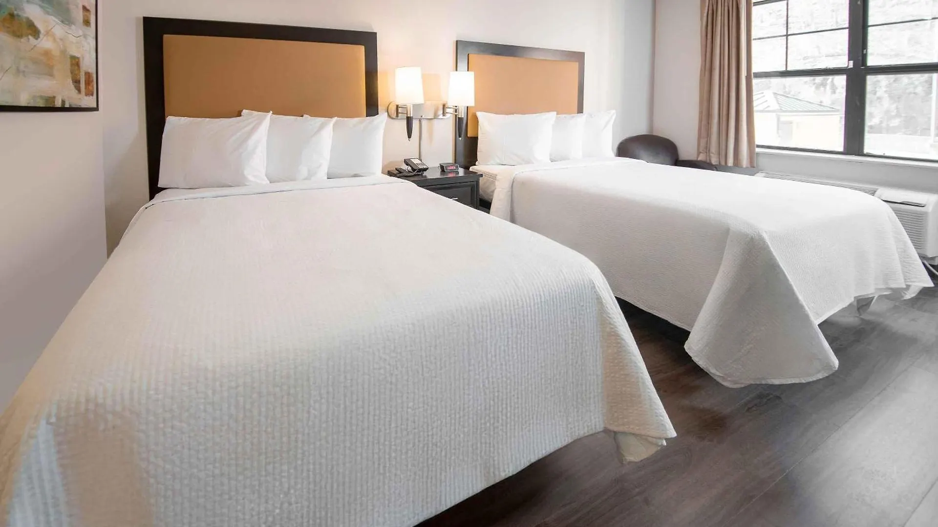 6 Budget Hotels Near Tucson Botanical Gardens Worth Booking